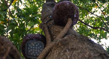 一款可定制的鳥巢投光燈 園林景觀亮化